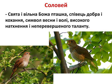 0603mh2w-c579-369x277.jpg