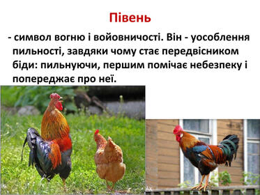 0603mh3p-b9f6-373x280.jpg