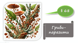   7 клас НУШ. Гриби-паразити