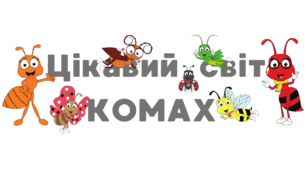 Цікавий світ КОМАХ. Напис-розтяжка