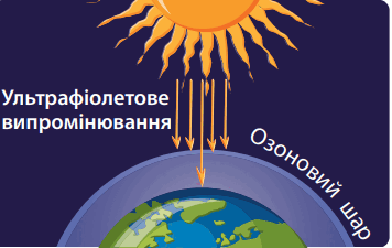 0603mkg5-5df4-356x225.png