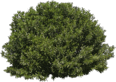 0603mmog-4460-116x82.png