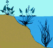 0603mmot-1541-232x210.png