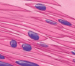 0603mnda-9d05-75x66.png