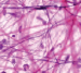 0603mnes-0833-75x67.png