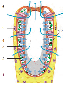 0603mnj6-b32f-222x281.png