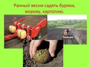 0603mocm-3c16-340x256.jpg