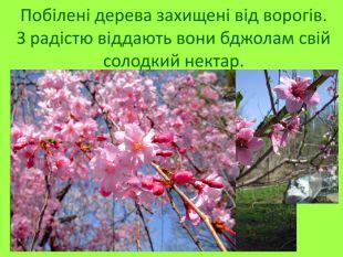 0603modm-b4c8-338x254.jpg