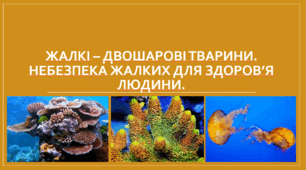 Презентація "Жалкі - двошарові тварини".