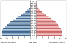 0603msdc-6287-232x151.png