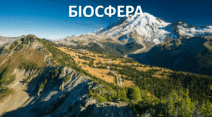 Презентація до уроку: "БІОСФЕРА"