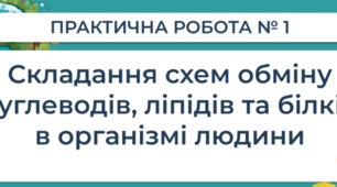 Практична  робота  «Складання схем обміну вуглеводів, ліпідів та білків в організмі людини»