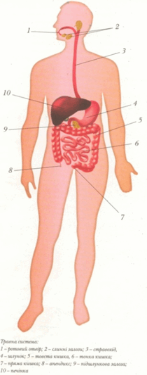 0603myi7-8b4a-210x533.png