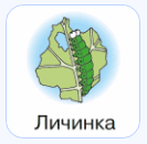 0603myqn-1c63-133x131.png