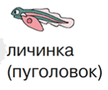 0603myyj-64ff-155x129.png