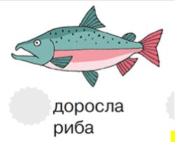 0603myyy-03a0-250x202.png