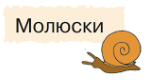 0603mzif-a1ef-155x81.png