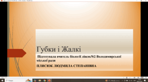 Презентація за темою: "ГУБКИ І ЖАЛКІ"
