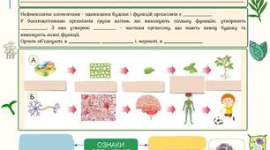 Робочий аркуш "Які особливості будови різних груп організмів" 5кл НУШ до підручника Д.Біда