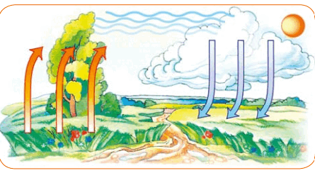 0603n4dx-c2d9-445x244.png
