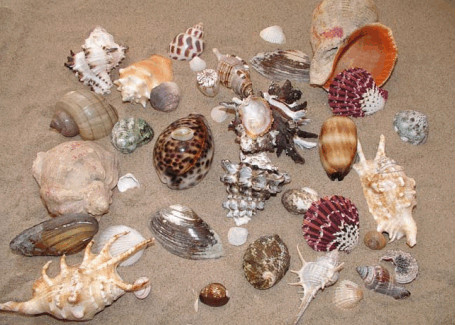 0603n565-d6ff-456x325.png