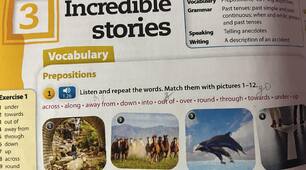 Incredible stories