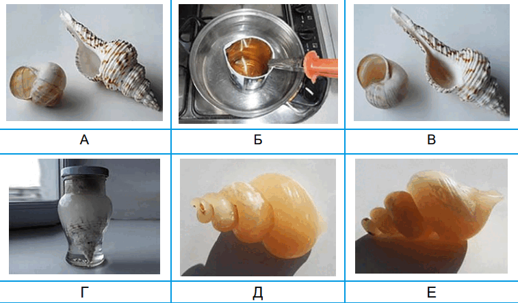 0603n5d9-1090-757x443.png