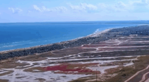 Узагальнення за темами: «Води суходолу і водні ресурси», «Ґрунти та ґрунтові  ресурси», «Рослинність» та «Тваринний світ України».