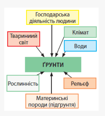 0603n7l9-99cf-347x380.png
