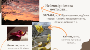 Презентація до Дня рідної мови