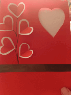 0603n8kn-8078-246x327.png