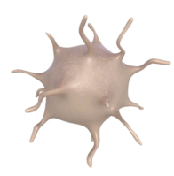 0603nafu-8878-196x199.png