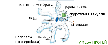 0603nbx6-4a1c-409x170.png