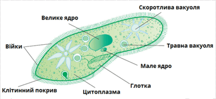 0603nbxe-cb66-438x201.png