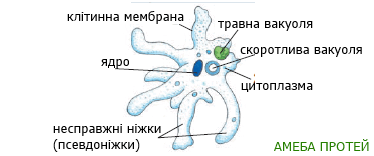0603nbzz-3800-382x159.png