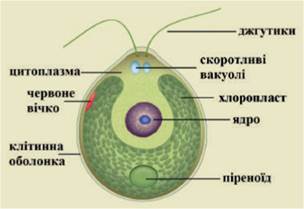 0603nc0q-db4b-304x209.jpg