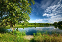 Біля озера картинки, стокові Біля озера фотографії ...