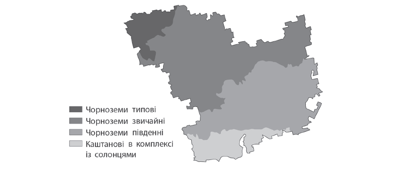 0603nddz-de4e-855x360.png