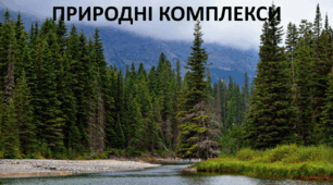 Презентація до уроку: "ПРИРОДНІ КОМПЛЕКСИ "