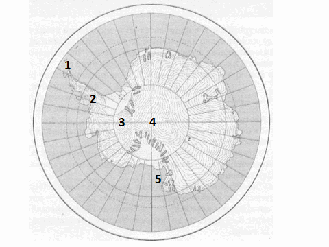 0603ndvs-c3d8-480x360.png