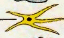 0603ne4t-f1c6-64x38.png