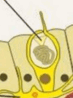 0603ne7y-668d-73x98.png