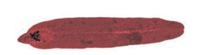 0603ngb5-5f6c-304x78.png