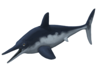 0603nir3-2c29-197x147.png