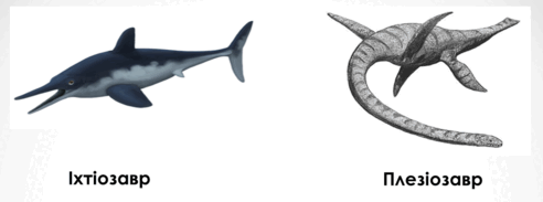 0603nj4s-9892-492x183.png