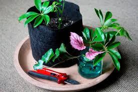 0603njnx-9257-275x183.jpg