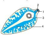 0603njoe-568f-252x164.png