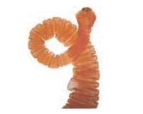 0603njt0-d751-203x163.png