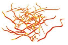 0603nju1-d5ae-225x149.png