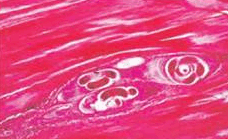 0603njue-f438-228x139.png